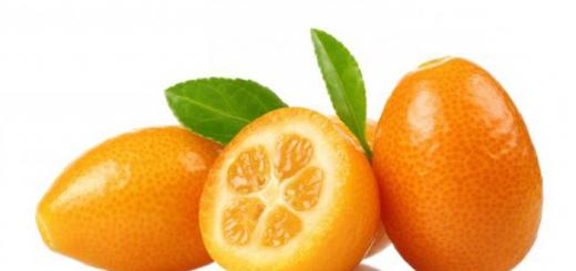 Кумкват – это что за фрукт, фото, польза и вред Сухофрукты лимончики из чего делают