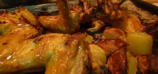 Запекаем крылышки в духовке – простые рецепты куриных крыльев (с маринадом и соусом)